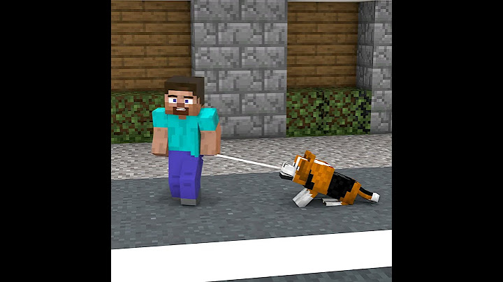 [Other Ending] When Steve And His Dog Don'T Give Away To Each Other 😂️