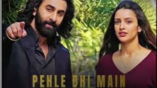 Pehle Bhi Main (Repeat) | Vishal Mishra | Animal