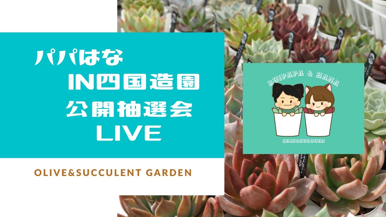 Succulents] Papa Hana Sales Event at Shikoku Zoen - Live Public