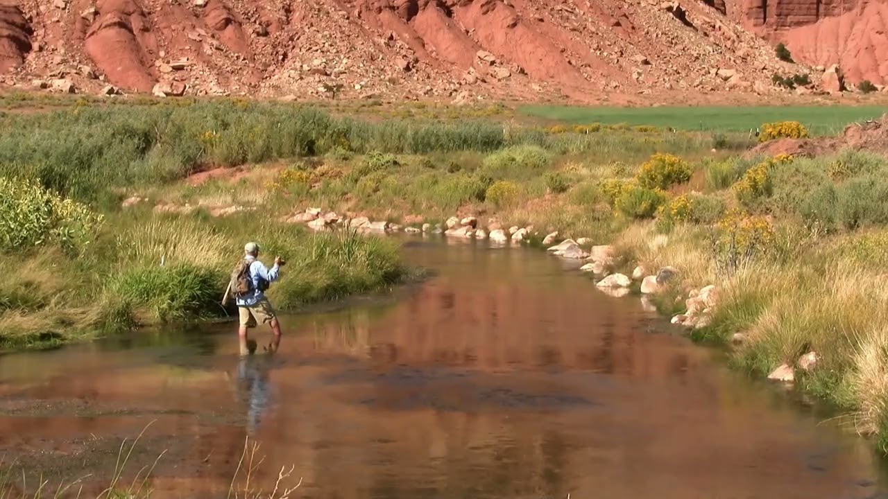 Fly Fishing - Fremont River - Capitol Reef Country - Utah