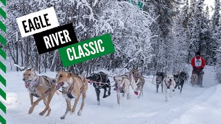 Sled Dog Race | Eagle River Classic