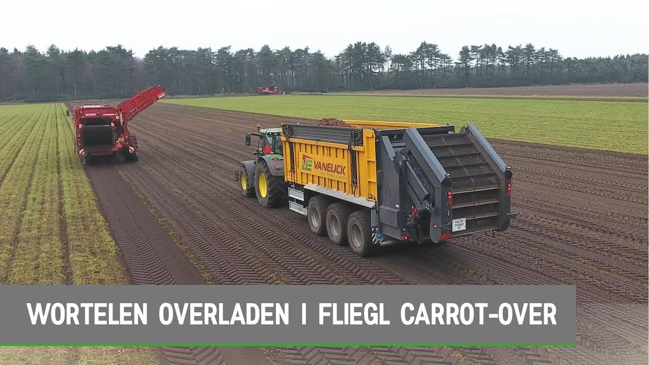 Wortelen REINIGEN en OVERLADEN in EEN | Fliegl Carrot-Over