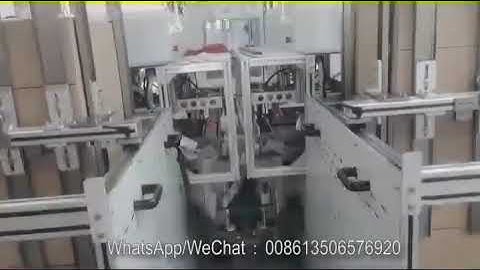 fully auto paper cup packing machine and case machine inline at Bulgaria2