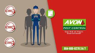 Avon Pest Control Vancouver | Bed Bug Exterminator