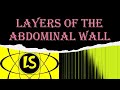 Layers of the Abdominal Wall Mp3 Song