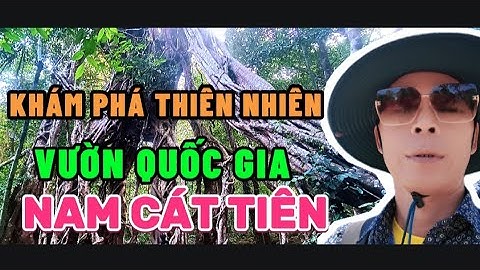 THĂM QUAN NHIỀU CÂY CỔ THỤ  HƠN 700TUỔI | VƯỜN QUỐC GIA NAM CÁT TIÊN