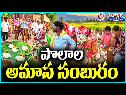 Polala Festival Celebrated with Decorated Bullocks in Adilabad ,Nizamabad | V6 Teenmaar - V6NEWSTELUGU