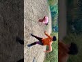 Family game #viral #youtube #shots #shorts