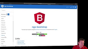 Angular7+ Extended and advanced topics 2018 | S5A1P5 |  Small bootstrap example
