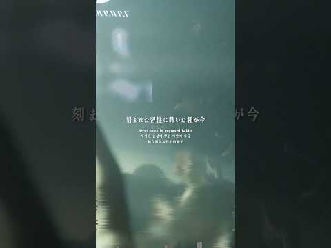 【100日間毎日投稿】95日目 Altarage / memex #ライブ映像