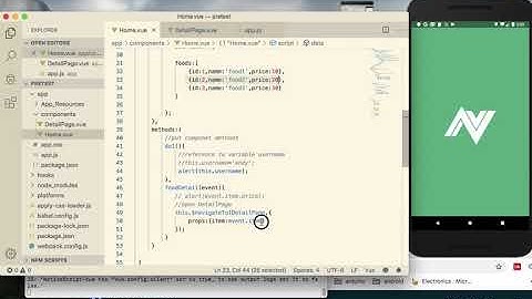 NativeScript Vue (Part-5): Works with multiple Vue Page component
