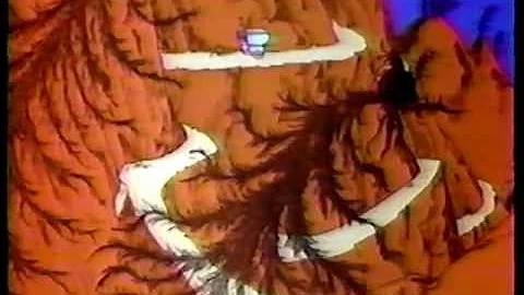 Halloween is Grinch Night