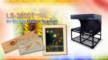 Microtek LS-3800T A1 On-top Scanner