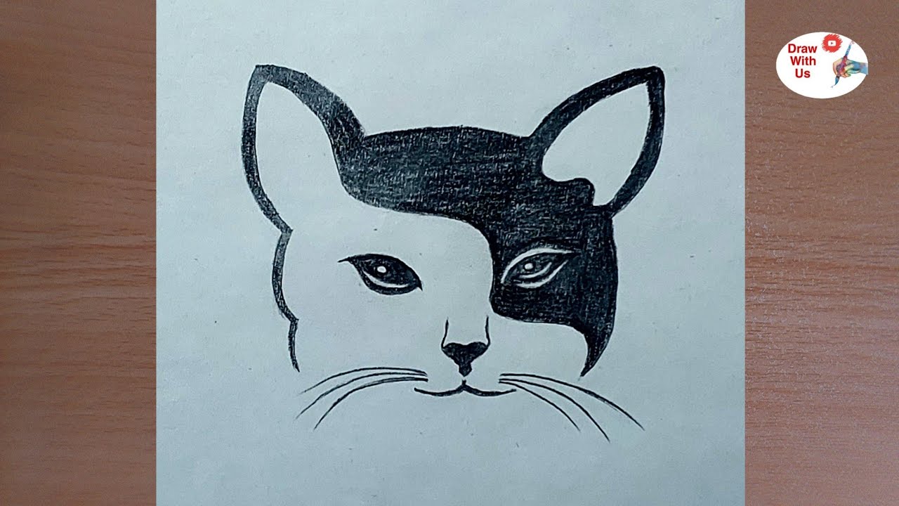 Step by step drawing of a beautiful black and white cat with a pencil ...