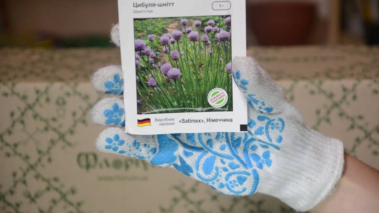 Лук Шнитт - YouTube