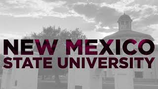 NMSU Course Delivery Options