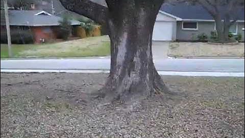 Metal Detecting with TejasDigger on 2-28-10