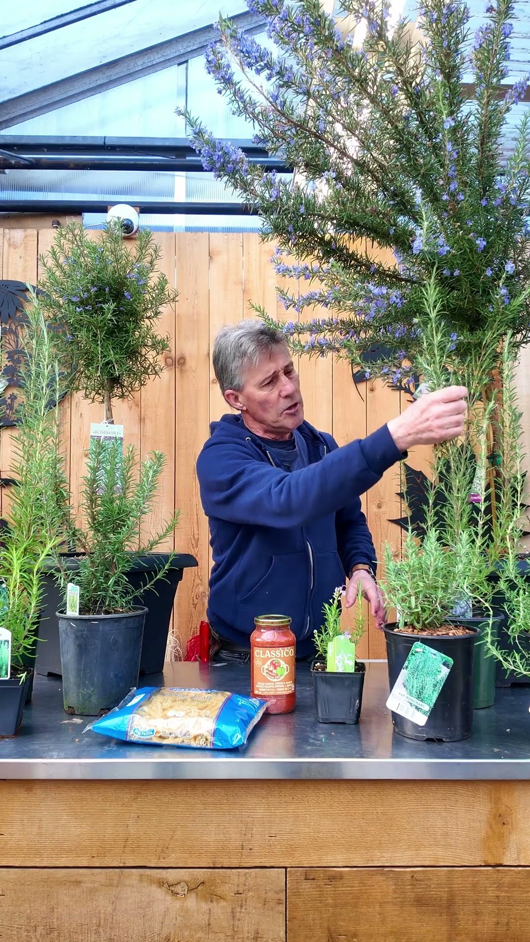 Rosemary for Beginners: Everything You Need to Know - YouTube