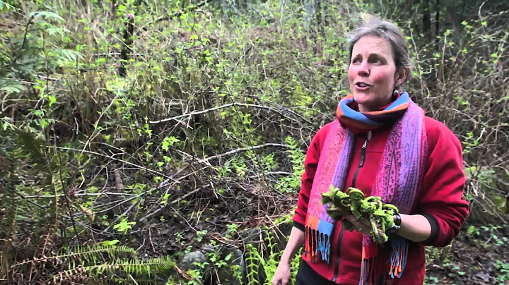 Foraging with Jennifer Hahn