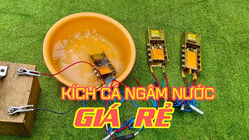 Kích Cá Sò Sắt | đt đặt hàng : 0938 079 962