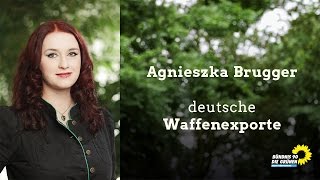 Agnieszka Brugger: deutsche Waffenexporte Resimi