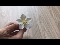 Cách làm hoa đào đất sét DIY ( how to make cherry blossom clay) Mibi.vn