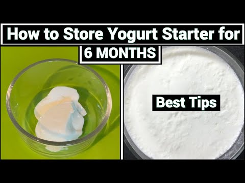How to Store Yogurt (Curd) starter for 6 months for fermenting | Best tips to Store Curd culture