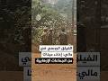 الفيلق الإفريقي الروسي في مالي إخلاء مدينة ميناكا من أي مجموعة إرهابية