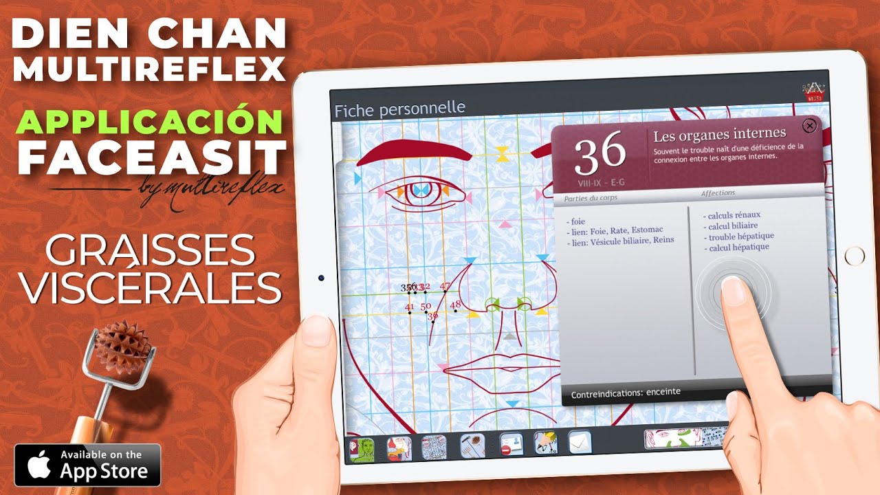 Graisse viscérale › revigorer les organes internes en Dien Chan