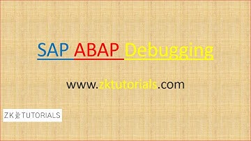 03 SAP ABAP Debugging Check variables, internal table content