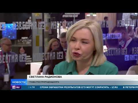 Названа сумма, которую заплатит "Лукойл" за разлив нефти в Коми