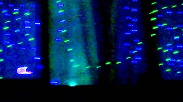 Christmas lights with Arduino and neo pixels