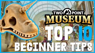 TOP 10 Beginner Tips for Two Point Museum