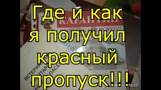 Где и как я получил красный пропуск!!!