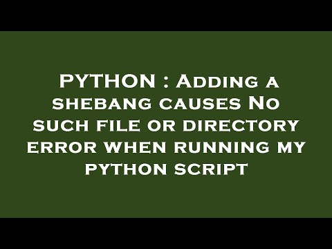 PYTHON : Adding a shebang causes No such file or directory error when running my python script