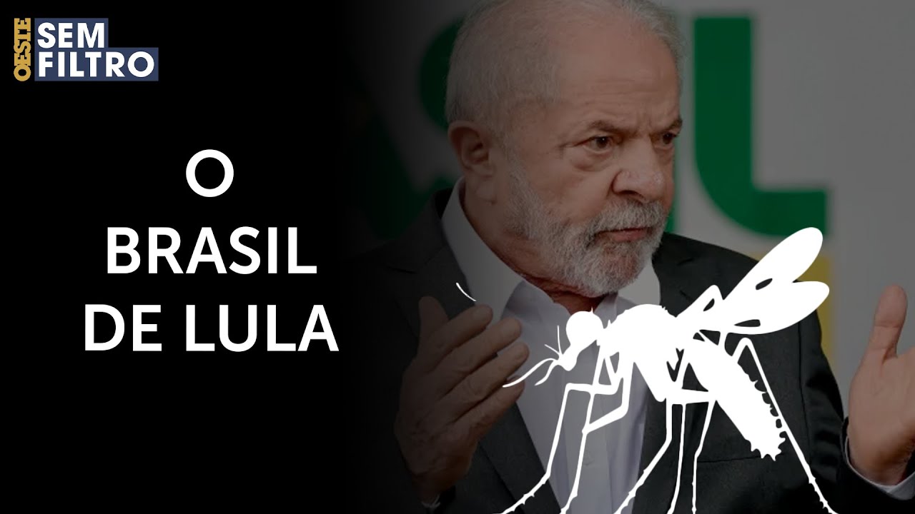 Brasil bate recorde de mortes por dengue em 2023 | #osf