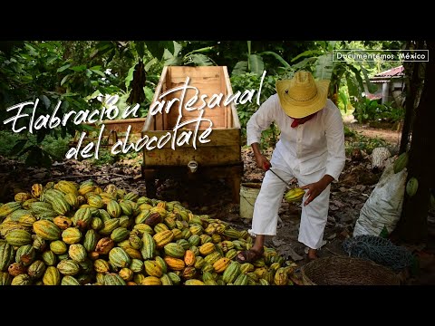 Así se elabora el chocolate | Comalcalco, Tabasco