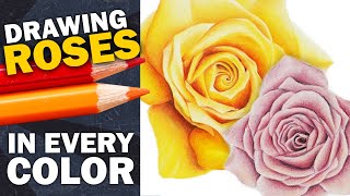 Drawing roses in every color and shape with colored pencil * Easy step by step rose drawing tutorial