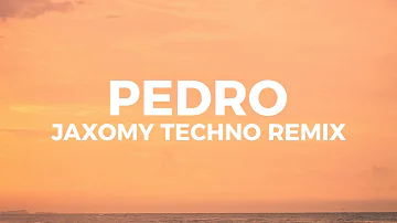 Jaxomy - Pedro pedro pedro (Techno remix) (Lyrics)