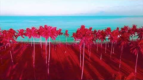 INFRARED Film Emulation Photoshop Actions by PsdFilm - Video Demo