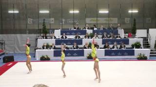 World Cup 2011 WG1 RUS Dyn