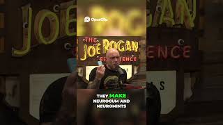 Joe Rogans Brain Hack Neurogum, Mushrooms Magic Mind