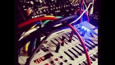 Moog Mother 32 randomly sequenced by Intellijel Metropolis (feat Minitaur & DFAM)