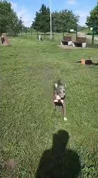youtube.com