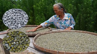 發霉的豆子還能吃？傳統豆豉的做法，老一輩傳下來的智慧｜Guangxi grandmother making traditional tempeh｜广西 美食｜ 玉林阿婆