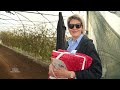 Almasa i Miran u Donjim Moštrama kod domaćina Mede i njegove supruge | Zimska kuhinja | Hayat TV