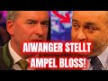 🔥 UNGLAUBLICH: SIEH DIR DIESES VIDEO UNBEDINGT AN! I PolitikShortsGER #politik #viral #aiwanger