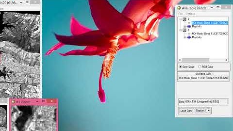 Mosaicking in ENVI Classic