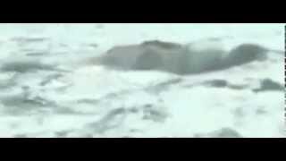 فيلم الشوق النسحة الكاملة جودة عالية