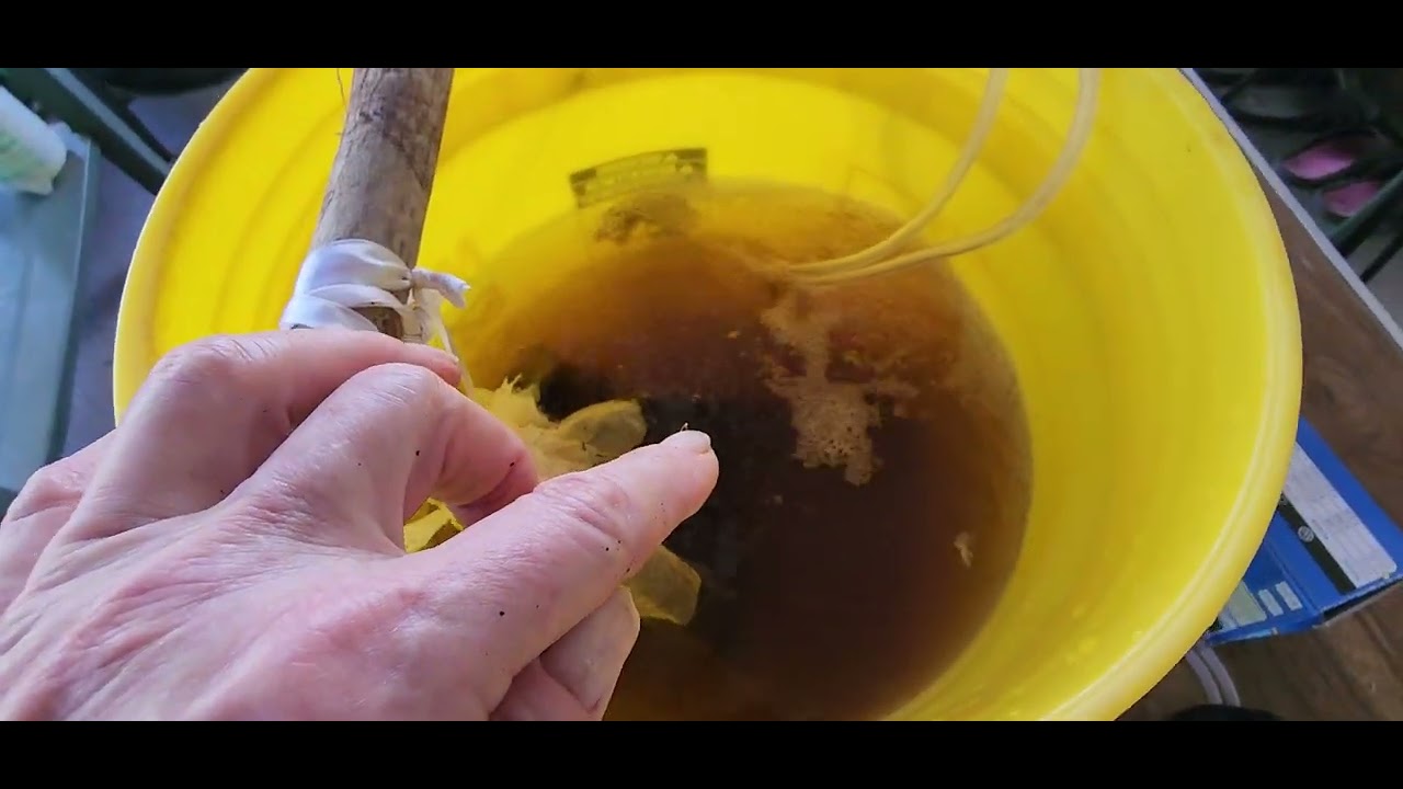 Making Worm Tea the Easy Way